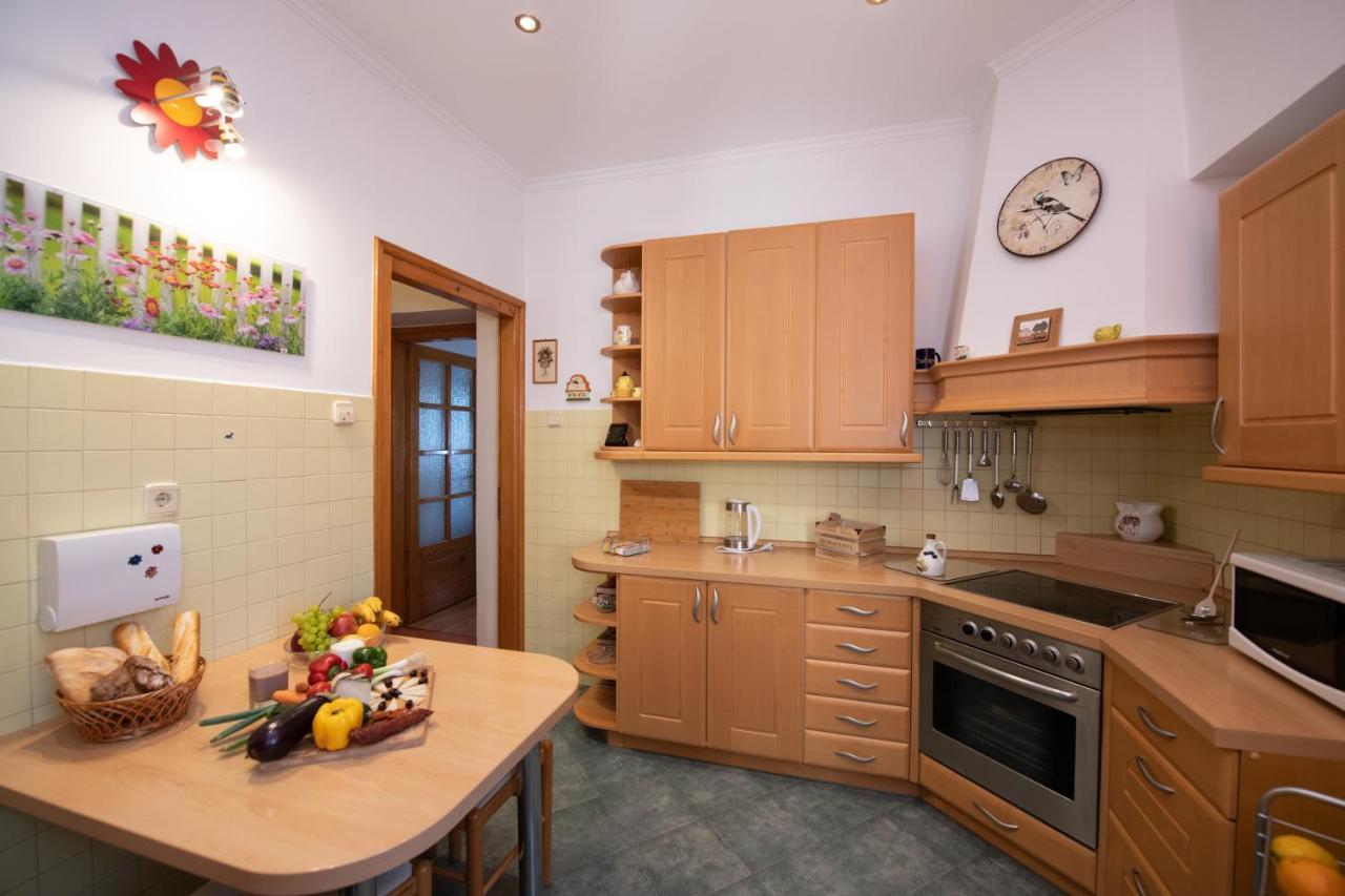 Apartment Slatina *